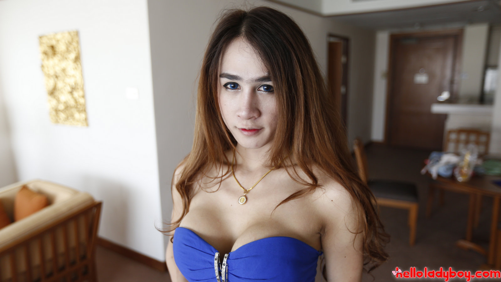 1600px x 900px - Thai ladyboy with big fake tits and long hair gets facial from tourist